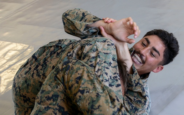 TF-61/2: FASTEUR MCMAP