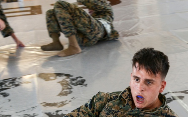 TF-61/2: FASTEUR MCMAP