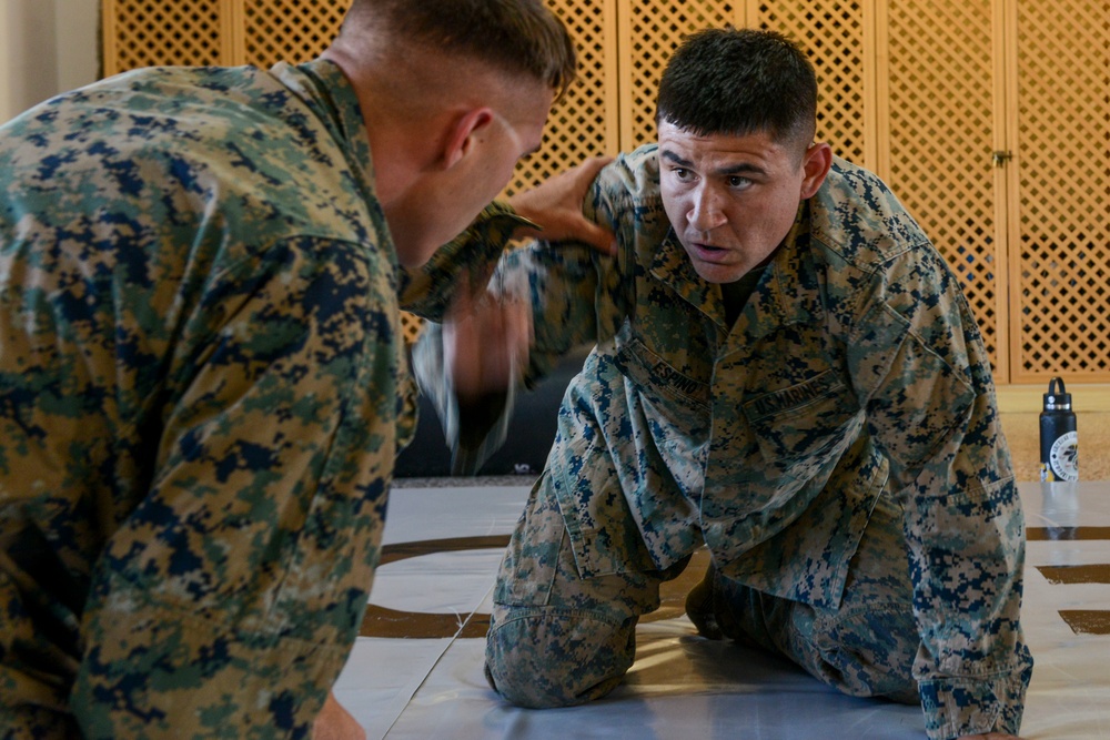 TF-61/2: FASTEUR MCMAP