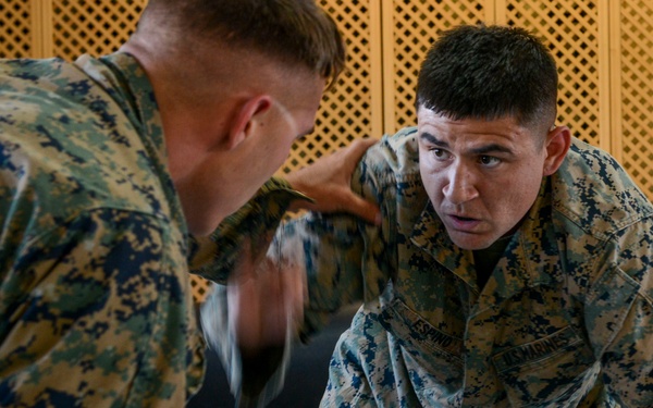 TF-61/2: FASTEUR MCMAP