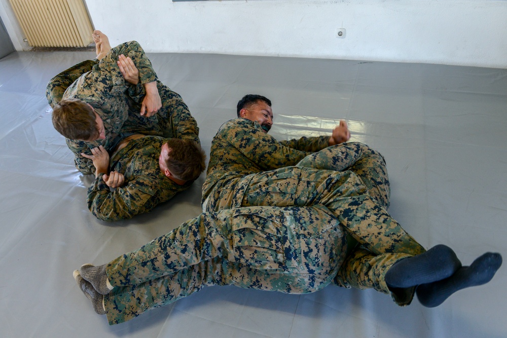 TF-61/2: FASTEUR MCMAP