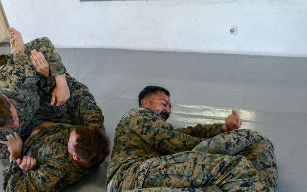 TF-61/2: FASTEUR MCMAP