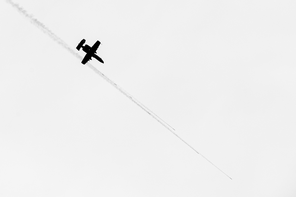 Warthogs on the Range