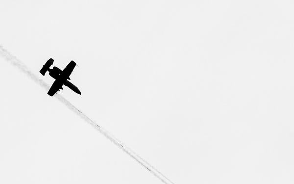 Warthogs on the Range