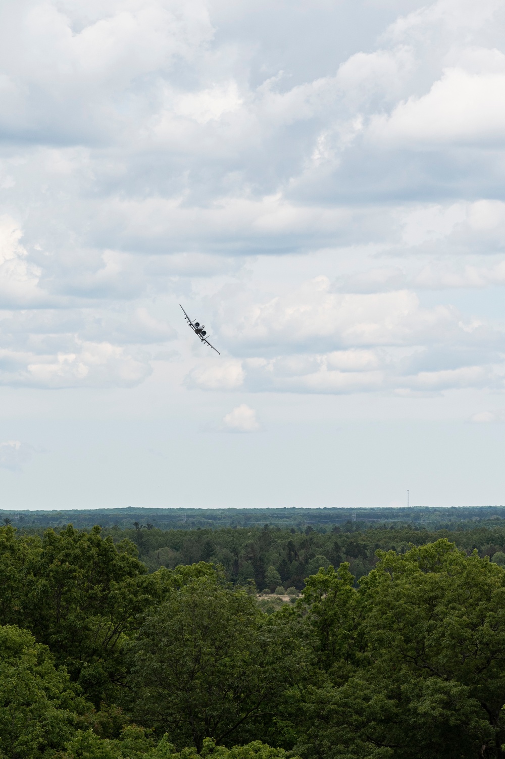 Warthogs on the Range