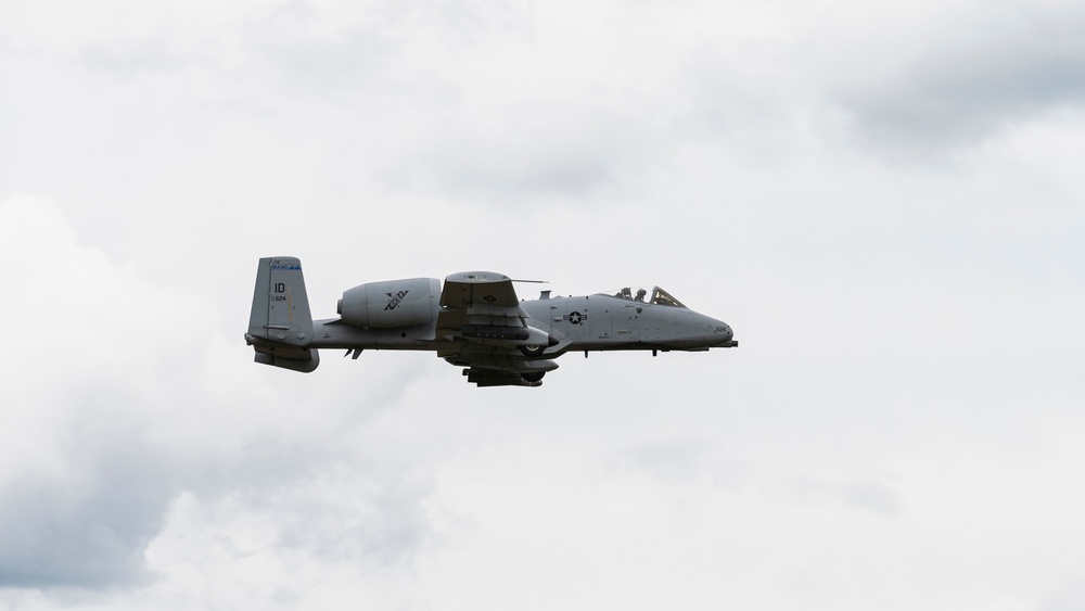 Warthogs on the Range