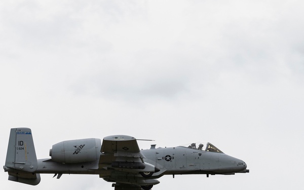 Warthogs on the Range