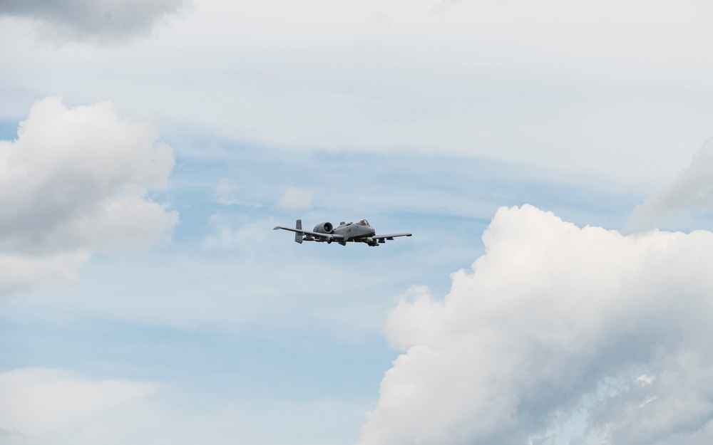 Warthogs on the Range