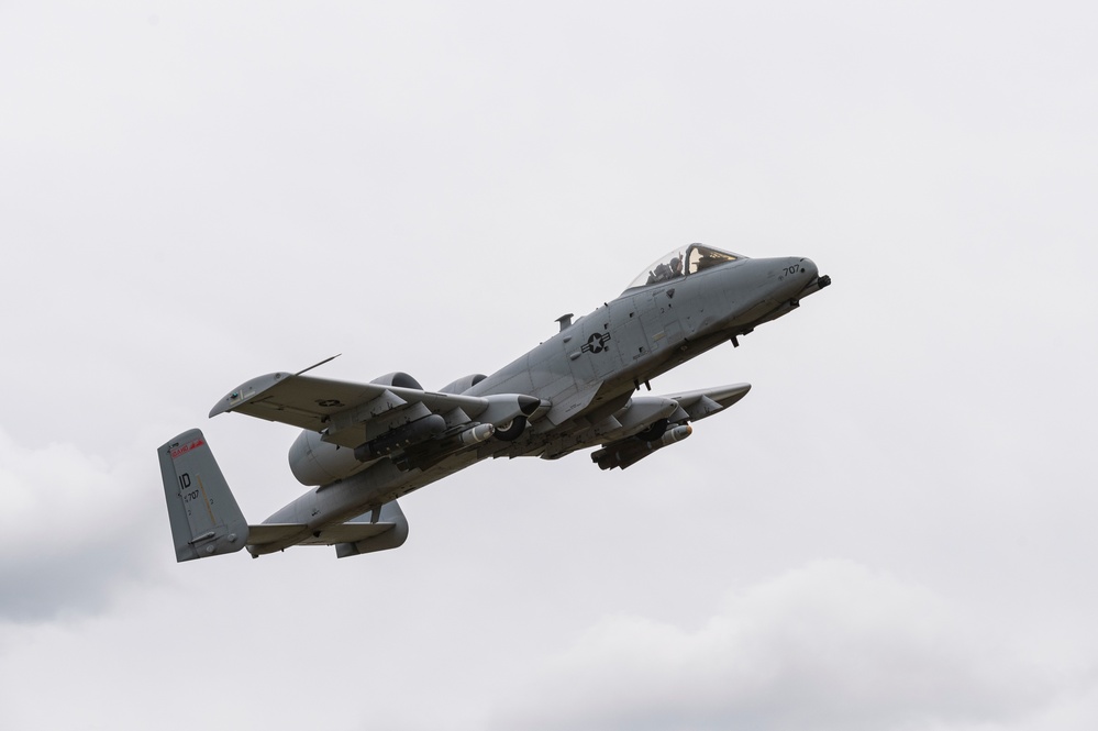 Warthogs on the Range