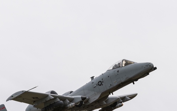 Warthogs on the Range