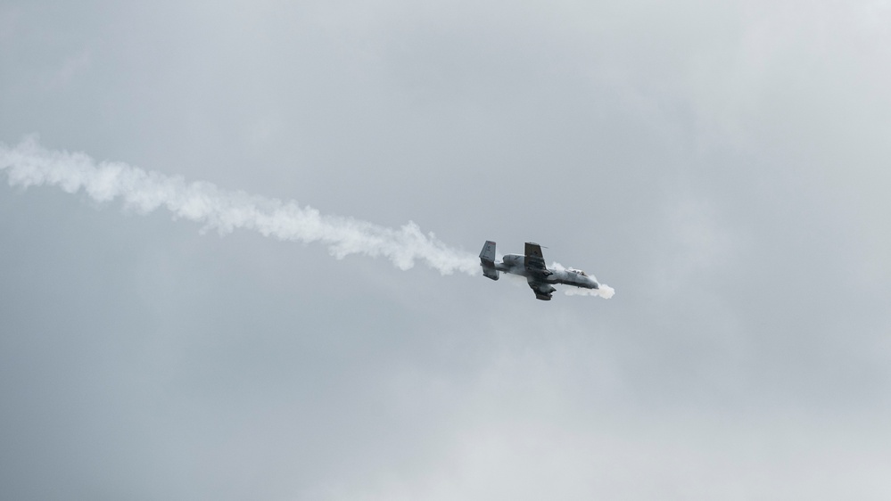 Warthogs on the Range