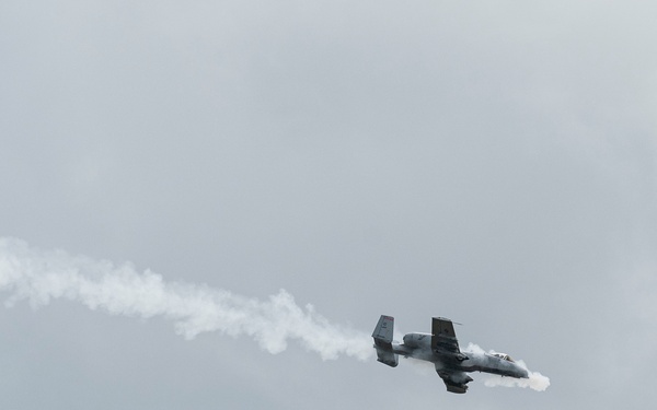 Warthogs on the Range