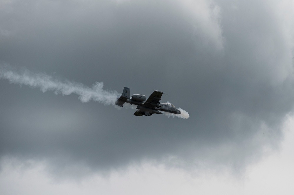 Warthogs on the Range