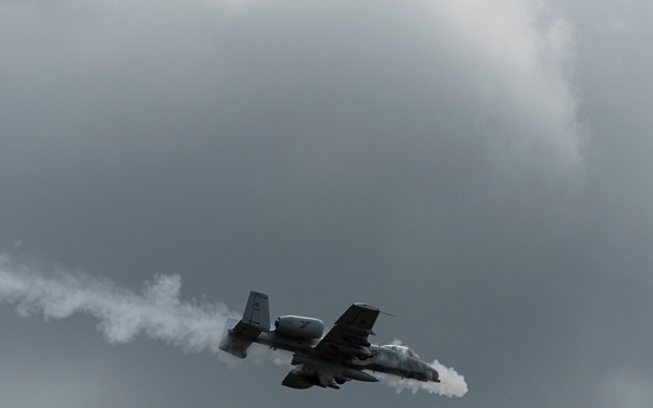 Warthogs on the Range