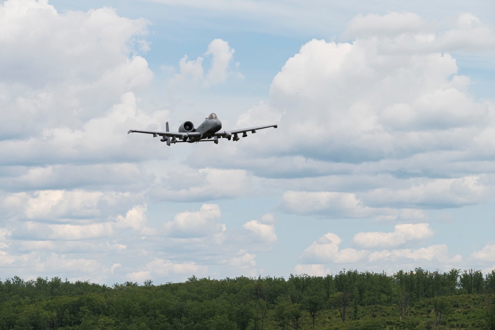 Warthogs on the Range