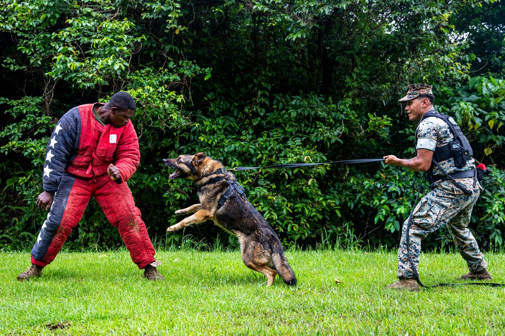 Faces of MCIPAC: A Marine’s Best Friend