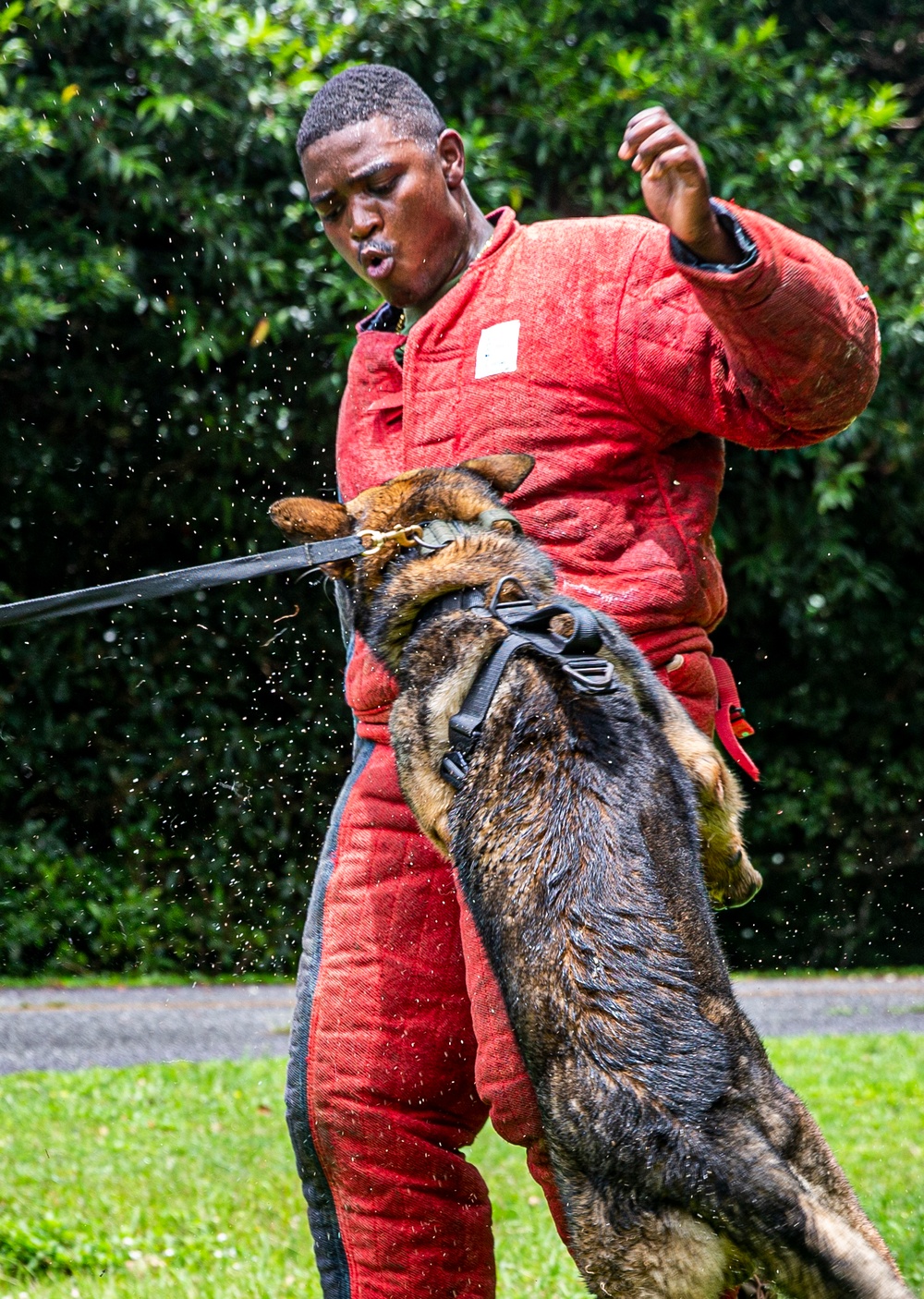 Faces of MCIPAC: A Marine’s Best Friend