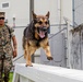 Faces of MCIPAC: A Marine’s Best Friend