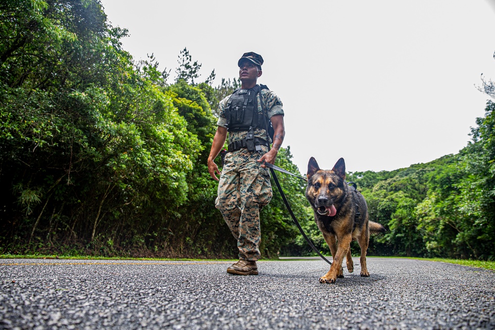 Faces of MCIPAC: A Marine’s Best Friend