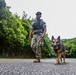 Faces of MCIPAC: A Marine’s Best Friend