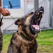 Faces of MCIPAC: A Marine’s Best Friend