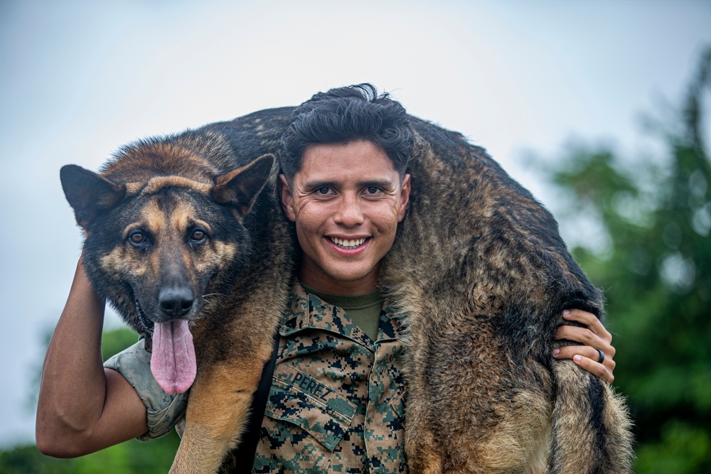 Faces of MCIPAC: A Marine’s Best Friend