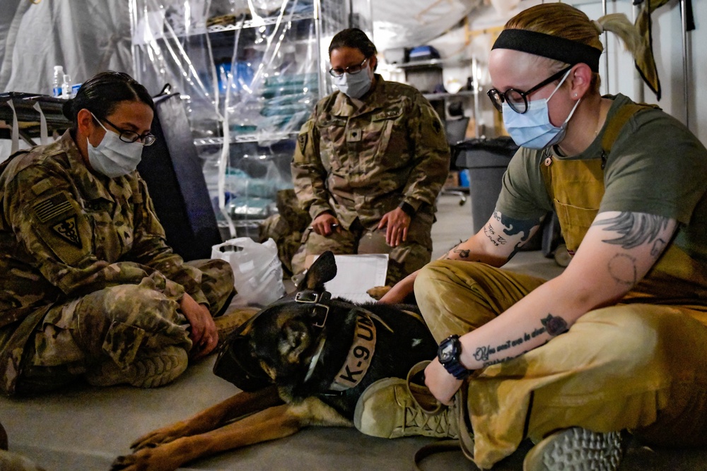 378th ESFS MWD: Army vet visit