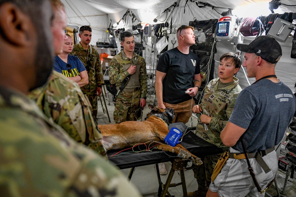 378th ESFS MWD: Army vet visit