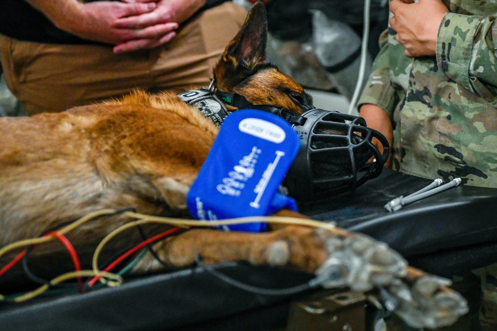 378th ESFS MWD: Army vet visit