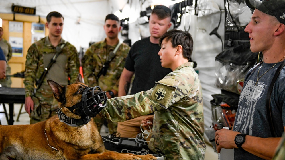 378th ESFS MWD: Army vet visit