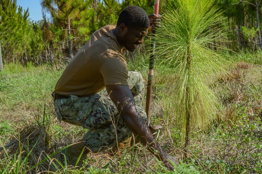 MacDill brings new life to the ecosystem during Arbor Day