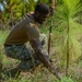 MacDill brings new life to the ecosystem during Arbor Day