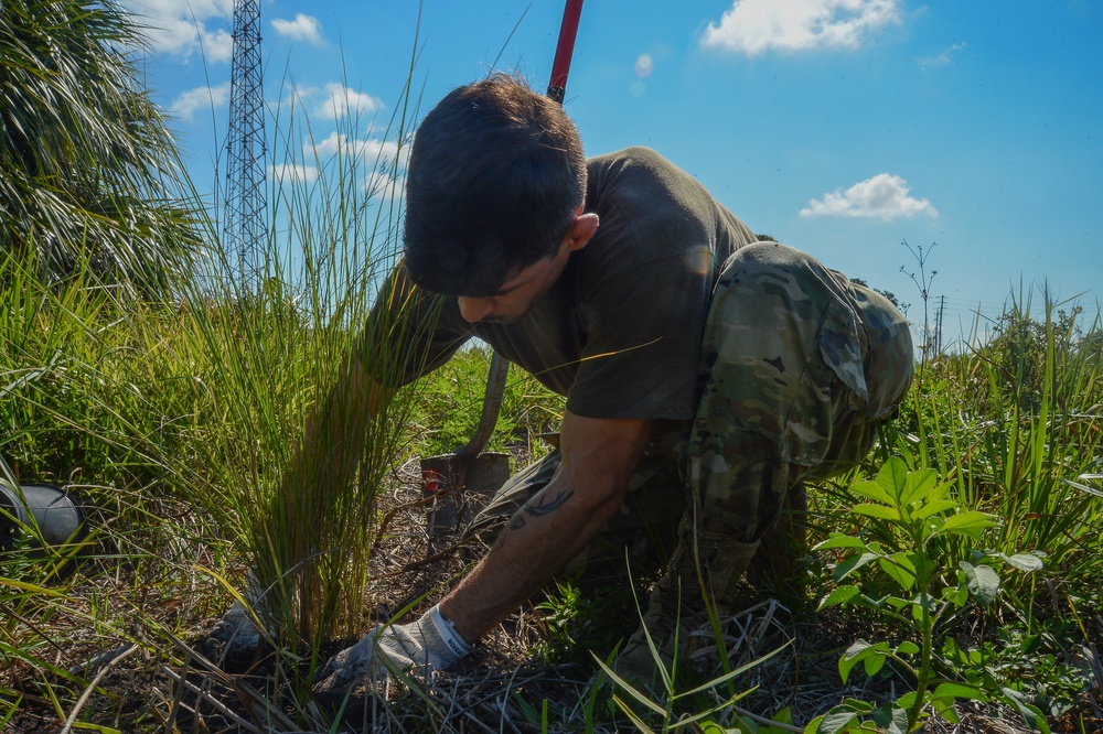 MacDill brings new life to the ecosystem during Arbor Day