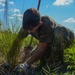 MacDill brings new life to the ecosystem during Arbor Day