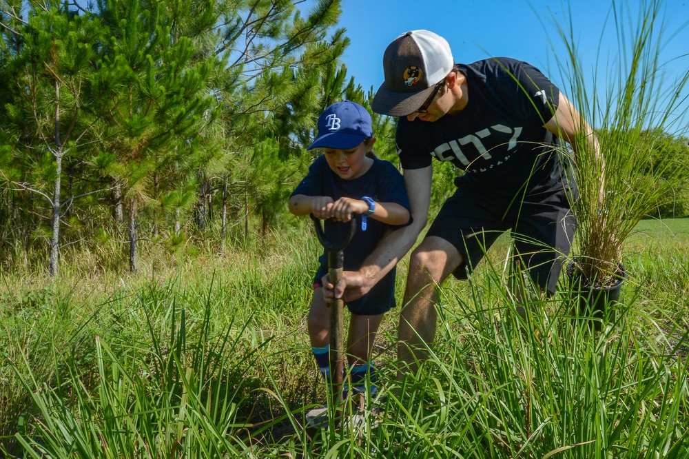 MacDill brings new life to the ecosystem during Arbor Day