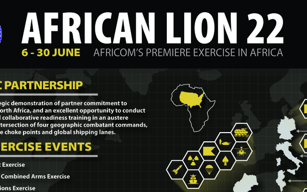 African Lion 22 Big Picture