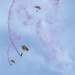 Jump In! U.S. Army Parachute Team performs for 105th Anniversary of Fort Jackson