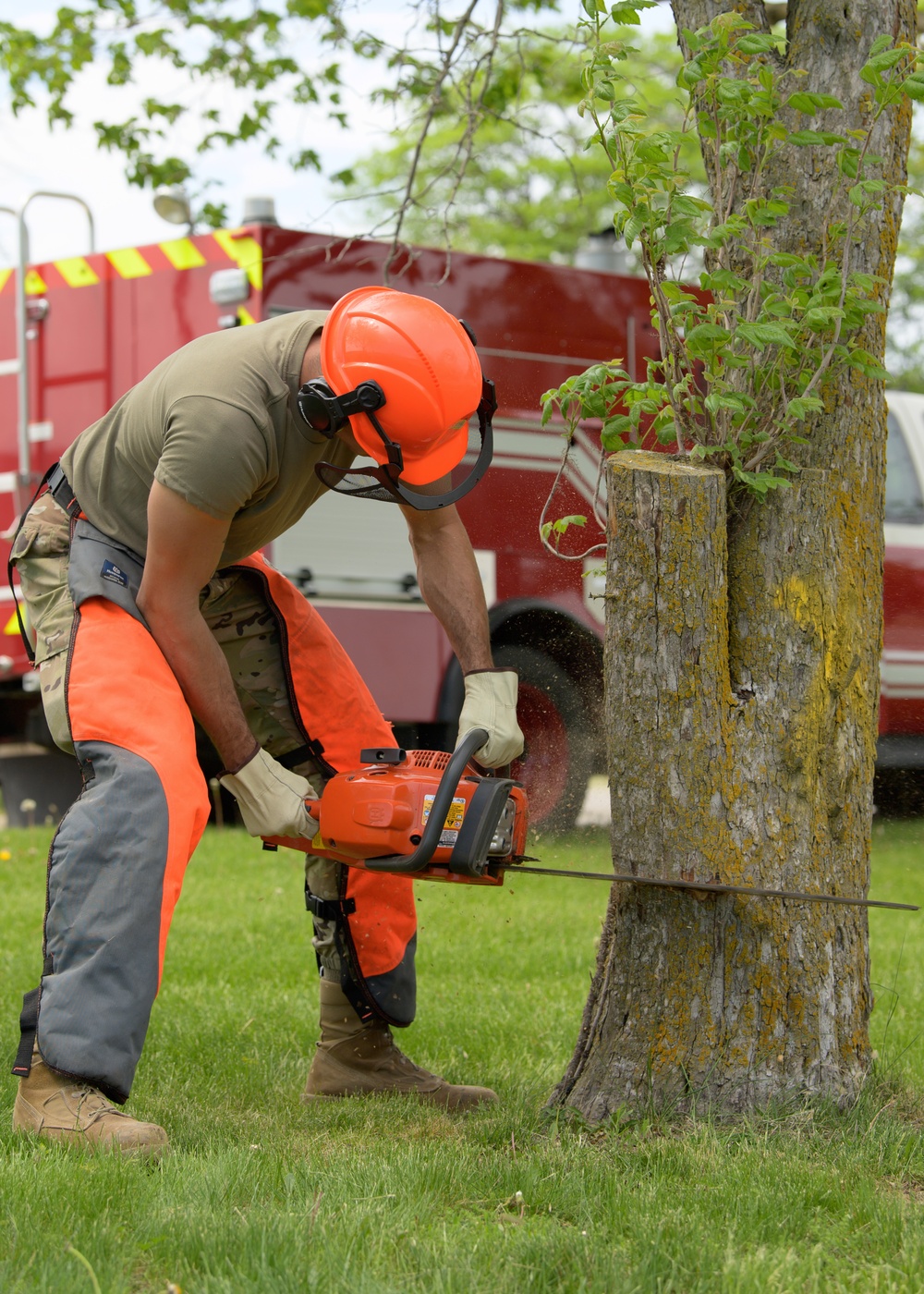 132d Civil Engineering Squadron Cuts Down Dying Trees Around the Base