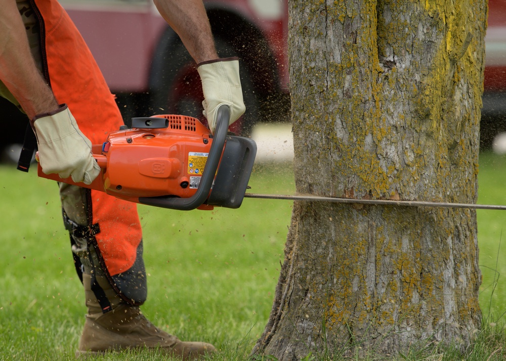 132d Civil Engineering Squadron Cuts Down Dying Trees Around the Base