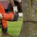 132d Civil Engineering Squadron Cuts Down Dying Trees Around the Base