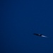 Eielson Airmen ‘ACE’ Iwakuni training mission