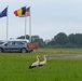 Wildlife on Chièvres Air Base