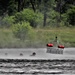 Wisconsin National Guard's 1st Battalion, 147th Aviation Regiment crews hold live-hoist training at Fort McCoy