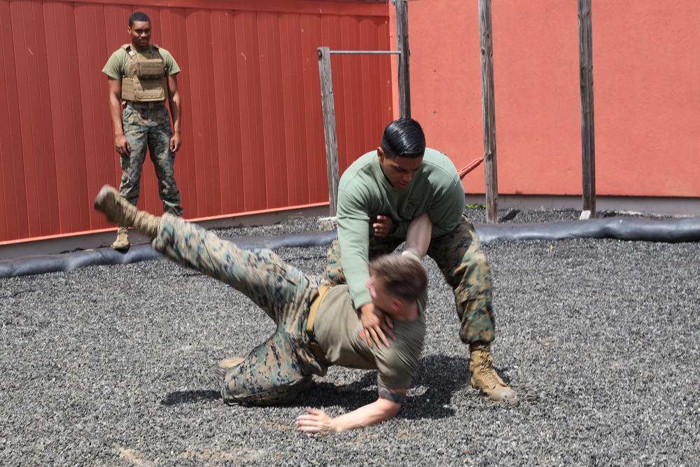 Martial Arts in Montgomery