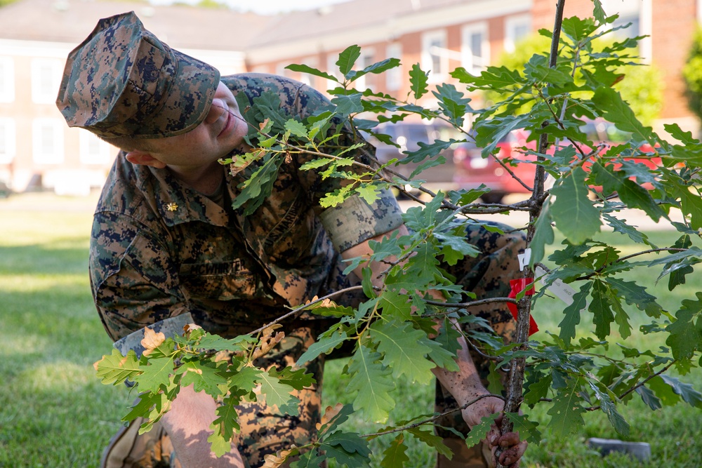 Belleau Wood Tree Planting at Lejeune Hall