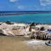 UCT-2 and NMCB-3 conduct repairs to a Roll-on, Roll-off Discharge Facility in Tinian Harbor