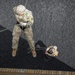 Iowa cavalry scout rappels down tower