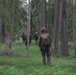 22nd MEU trains in Sweden during BALTOPS22