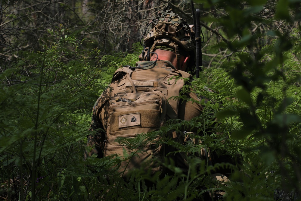 22nd MEU trains in Sweden during BALTOPS22