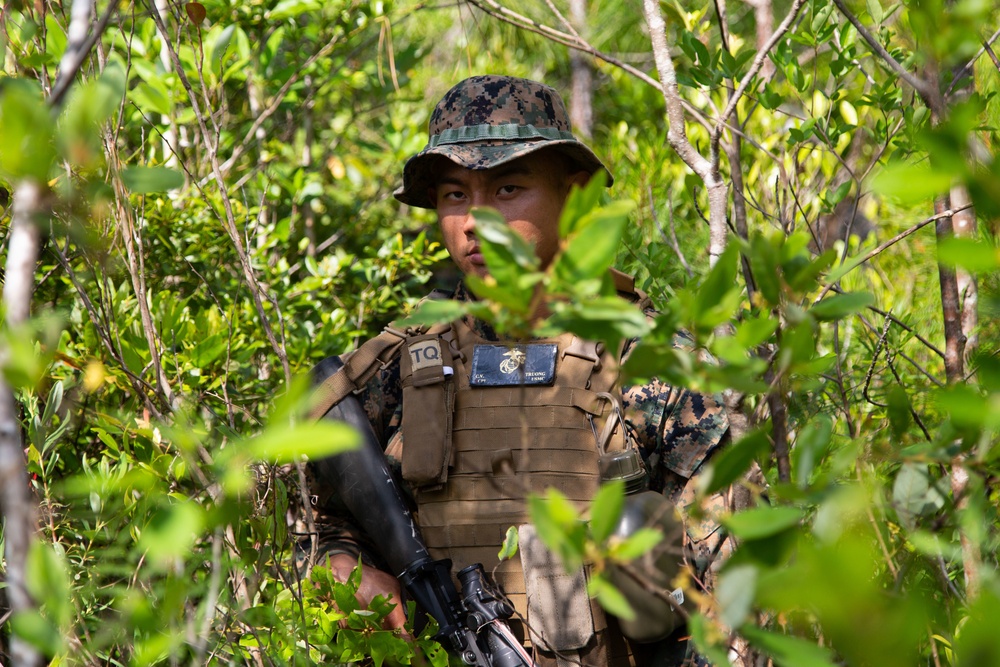 Combat Skills Program